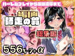 【レビュー】翁計画師走の翁総集編｜「超絶エロ・全14年を一冊に」🔥